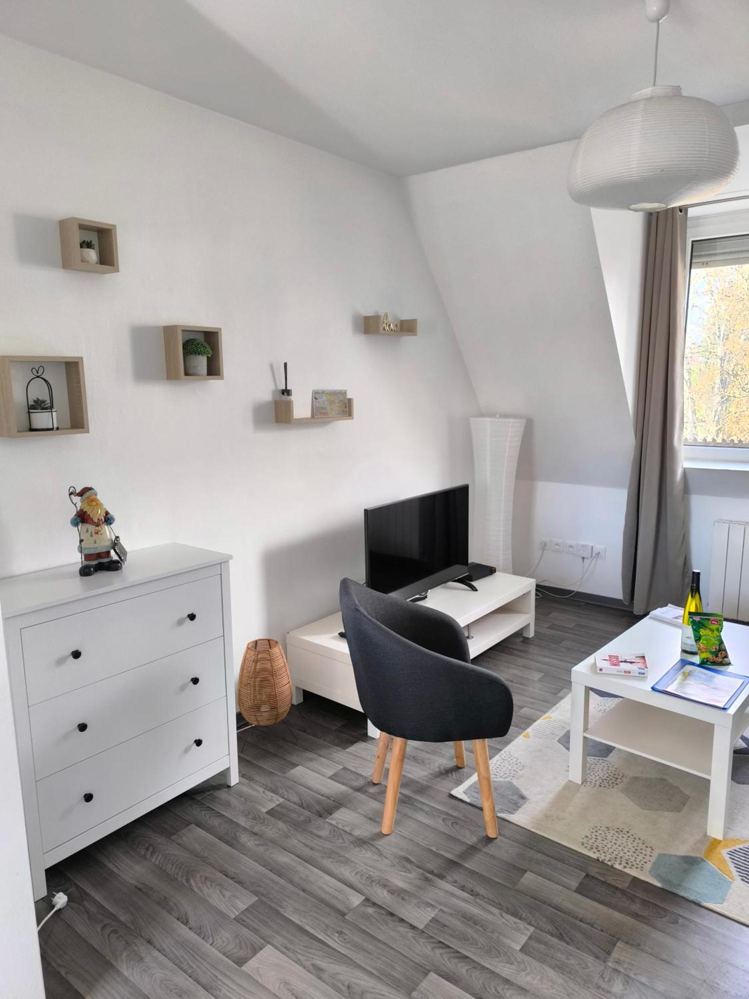 Appartement Cosy A Colmar Ngoại thất bức ảnh